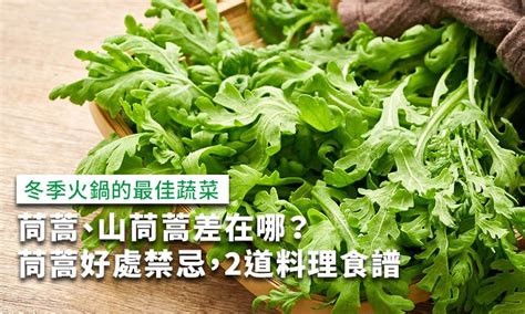 山筒嵩|茼蒿、山茼蒿差在哪？茼蒿好處禁忌、料理食譜一次看。